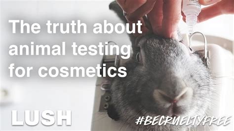 is chanel lipstick tested on animals|is Chanel animal friendly.